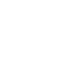 Tsars logo