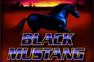 Black Mustang