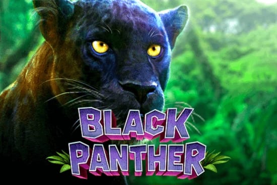 Black Panther gameplay screenshot