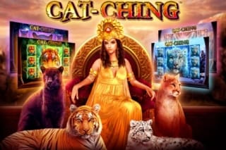 Cat-Ching