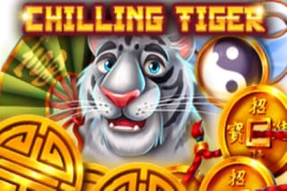 Chilling Tiger 3x3