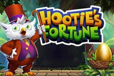 Captura de tela de Hootie's Fortune