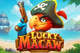 Lucky Macaw