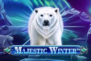 Скриншот игры Majestic Winter