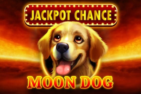 Скриншот игры Moon Dog