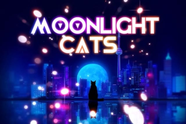 Moonlight Cats