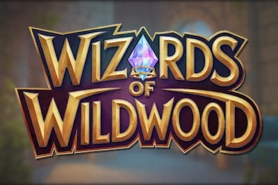 Wizards of Wild Wood