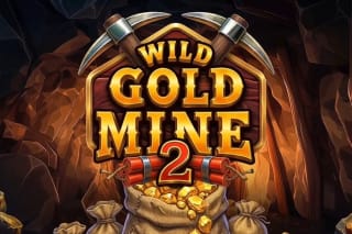 Wild Gold Mine 2