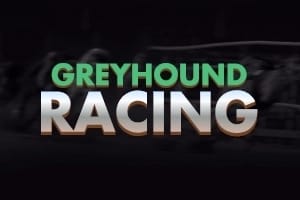 Greyhound Racing